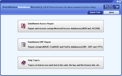 DataNumen Database Recovery screen shot