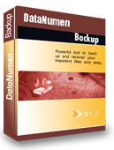 DataNumen Backup