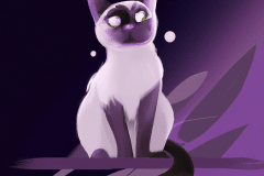 猫咪