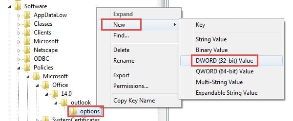 Create a New DWORD Value under Options Key