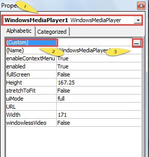 Choose "Windows Media Player"-> Click "Custom"->Click Its Right-most Button