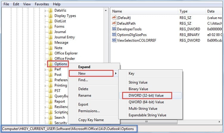 Create a New DWORD Value under Options