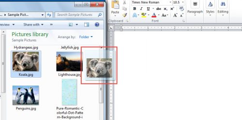 5 Effective Ways To Insert A Picture Into Your Word Document 5 Effective Ways To Insert A Picture Into Your Word Document