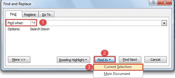 Enter in "Find what" Text Box ->Click "Find In" Button ->Choose "Current Selection"