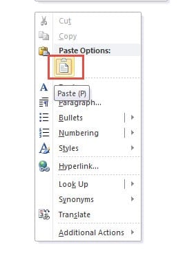 Right Click on Document -> Choose "Paste (P)"