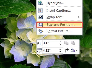 Right Click Picture -> Choose "Size and Position"