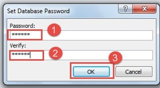 Set Database Password