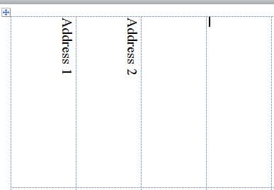 Type Address in Each Label