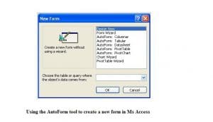 Use The Autoform Tool To Create A New Form In Ms Access
