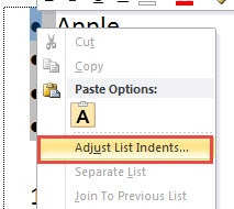 Click "Adjust List Indents"