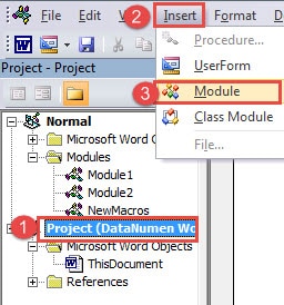 Click Project of This Document ->Click "Insert" -> Choose "Module"
