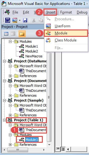Click "ThisDocument" ->Click "Insert" ->Choose "Module"