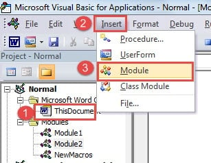 Click "ThisDocument" ->Click- "Insert" ->Click "Module"