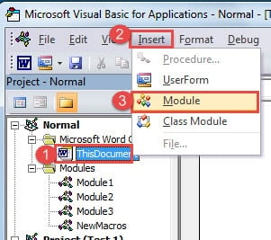 Click "ThisDocument" ->Click "Insert" ->Click "Module"