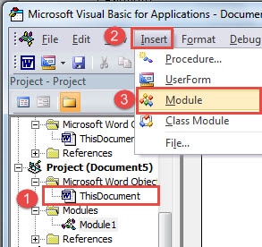 First Click "ThisDocument" ->Click "Insert" ->Click "Module"