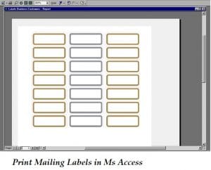 Print Mailing Labels In Ms Access