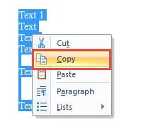 Click "Copy"