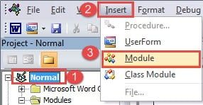 Click "Normal" ->Click "Insert" ->Choose "Module"