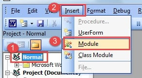 Click "Normal"->Click "Insert"->Click "Module"