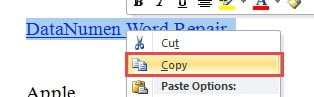 Select the Hyperlink->Right Click->Choose "Copy"