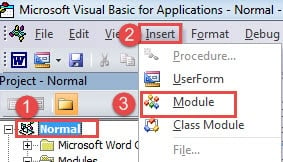 Click "Normal"->Click "Insert"->Click "Module"