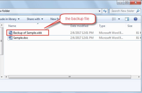 The Backup File