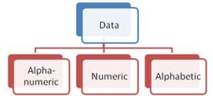 Data Characters