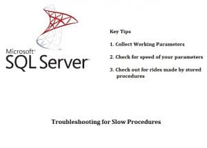 Troubleshoot For Slow Procedure