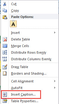 Choose "Insert Caption"