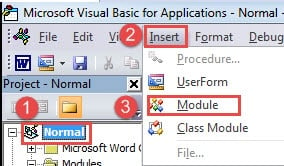 Click "Normal"->Click "Insert"->Click "Module"