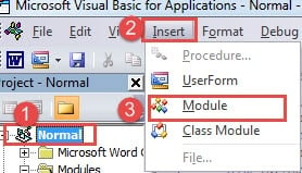 Click "Normal"->Click "Insert"->Click "Module"