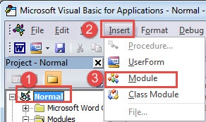 Click "Normal"->Click "Insert"->Click "Module"