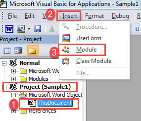 Click "ThisDocument"->Click "Insert"->Choose "Module"