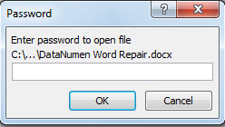 Requiring a password to open file
