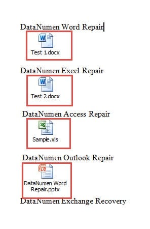 Word Document with Embedded Files