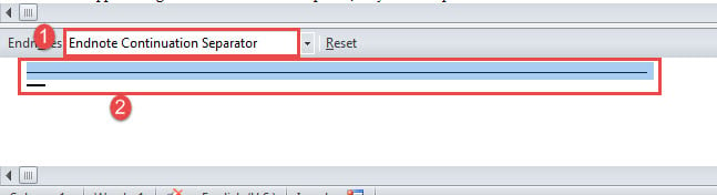 Choose "Endnote Continuation Separator"->Select the Separator