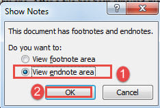 Choose "View endnote area"->Click "OK"