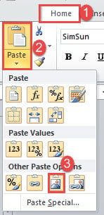 Click "Home"->Click "Paste"->Click "Picture"