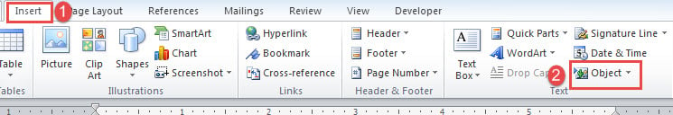 Click "Insert"->Click "Object"