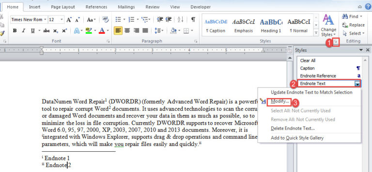 word doument endnote format word doument endnote format