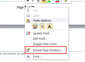 Choose "Format Page Numbers"