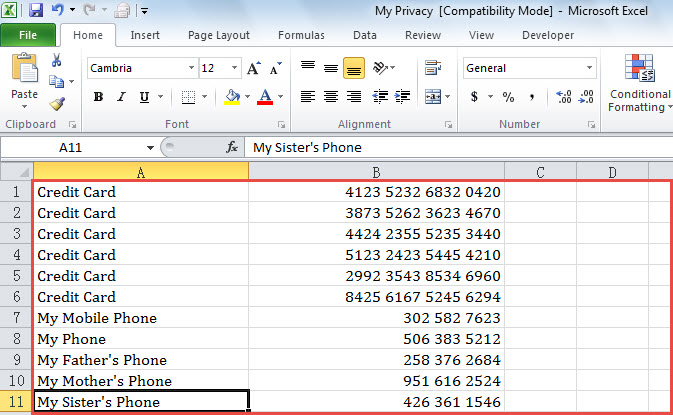 "My Privacy" Excel File