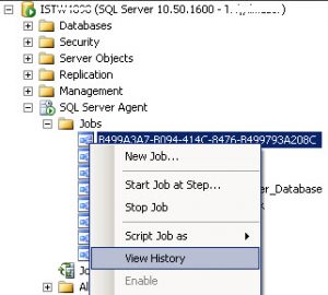 SQL Server Agent Job