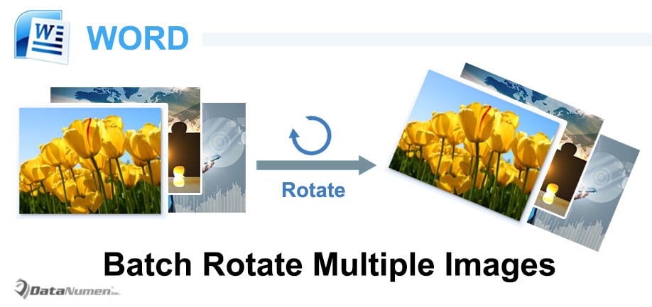 Batch Rotate Multiple Images in Your Word Document