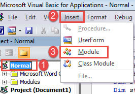 Click "Norma" ->Click "Insert"->Click "Module"