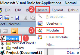 Click "Normal"->Click "Insert"->Click "Module"