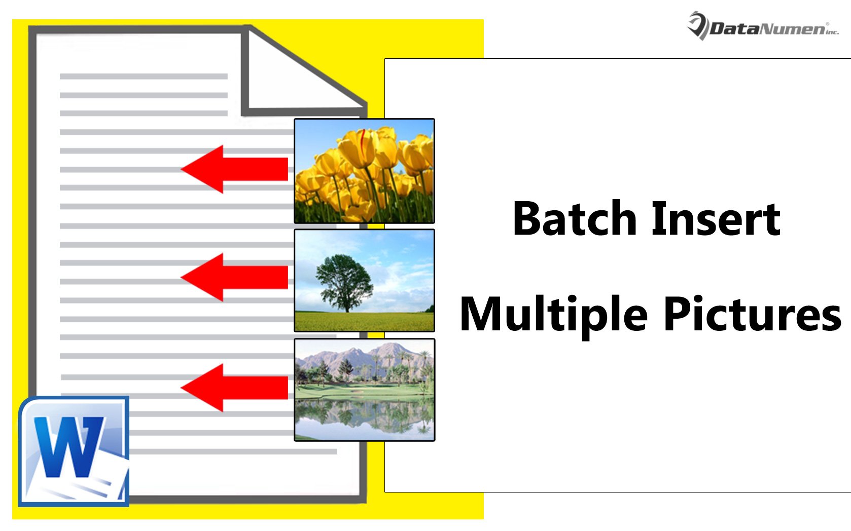 Batch Insert Multiple Pictures to Your Word Document