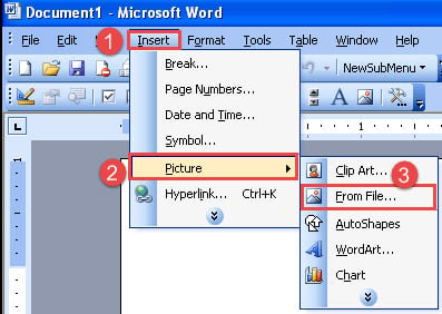 Click "Insert"->Click "Picture"->Choose "From File"