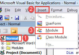 Click "Normal"->Click "Insert"->Click "Module"