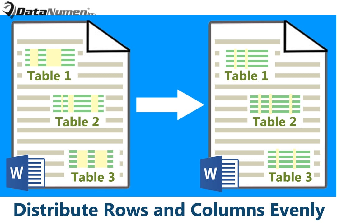 Distribute Rows and Columns Evenly in Your Word Table